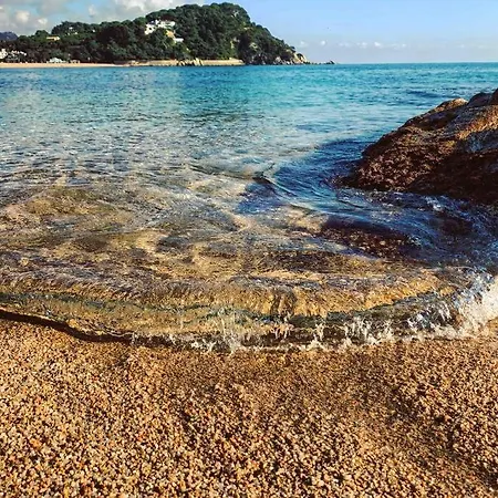 Relax En Lloret Con Gym Y Piscina By Host&joy